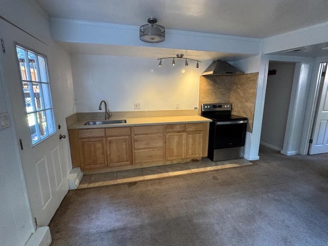 kitchen with light carpet, sink, stainless steel electric range, and wall chimney exhaust hood