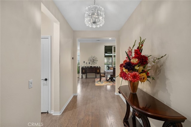 hall with hardwood / wood-style floors and an inviting chandelier