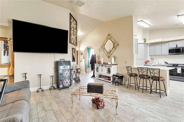 living room with vaulted ceiling, a textured ceiling, and light hardwood / wood-style floors