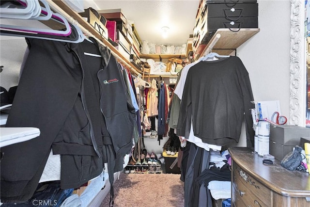 view of spacious closet