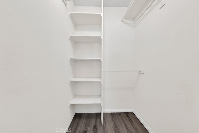 spacious closet featuring dark wood-type flooring