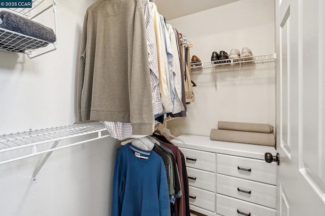 view of spacious closet