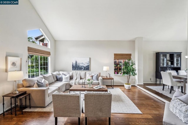 living room with hardwood / wood-style floors and high vaulted ceiling