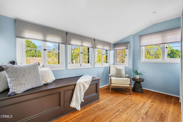 interior space featuring vaulted ceiling