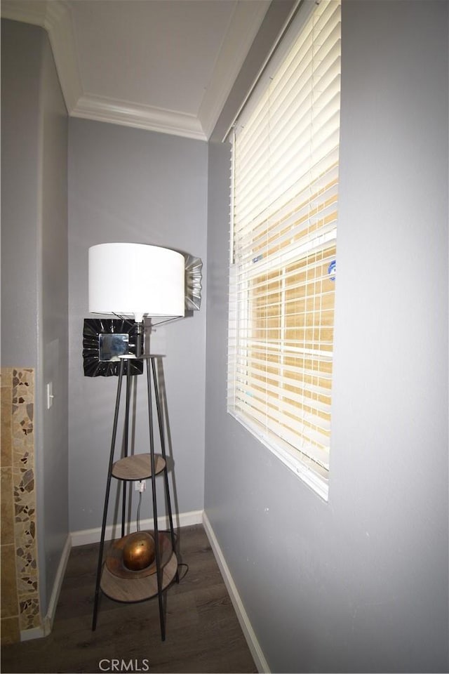 hallway featuring ornamental molding, dark hardwood / wood-style floors, and a wealth of natural light