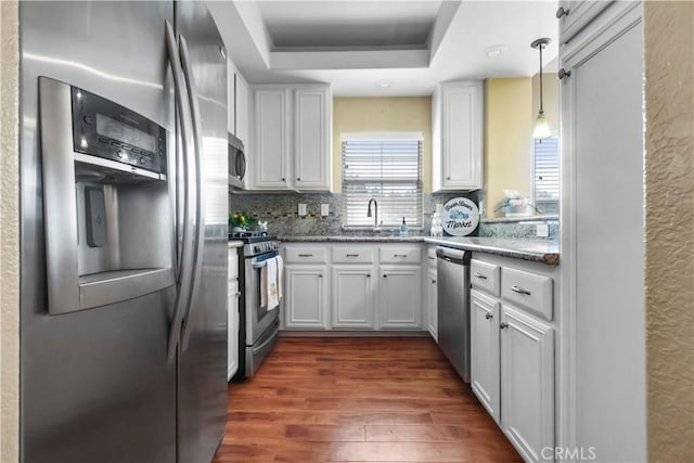kitchen with dark wood finished floors, a tray ceiling, tasteful backsplash, a sink, and stainless steel appliances