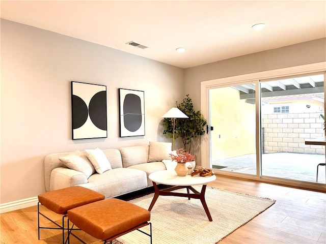 living room featuring wood-type flooring