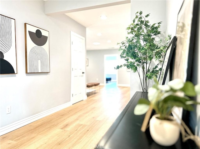 workout room with light hardwood / wood-style flooring