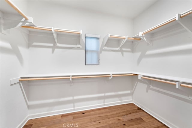 spacious closet featuring wood finished floors