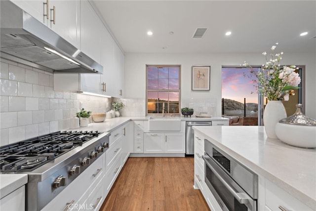 kitchen featuring appliances with stainless steel finishes, light countertops, under cabinet range hood, white cabinetry, and a sink