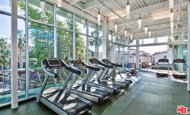 exercise room with floor to ceiling windows, a healthy amount of sunlight, and a towering ceiling