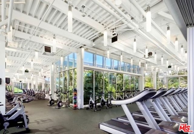 gym with a high ceiling