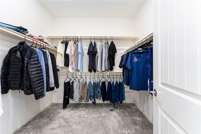 spacious closet featuring light carpet