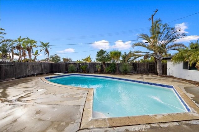 view of pool with a patio