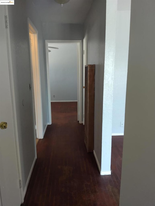 corridor with dark hardwood / wood-style floors