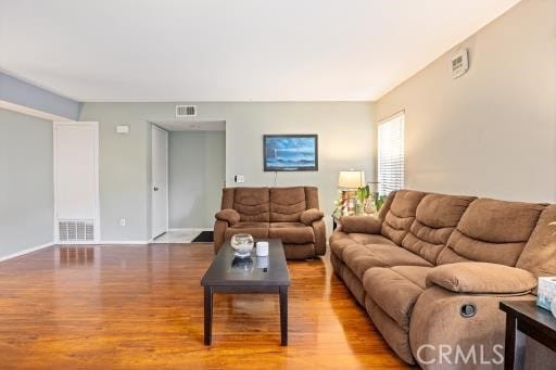 living room featuring wood-type flooring