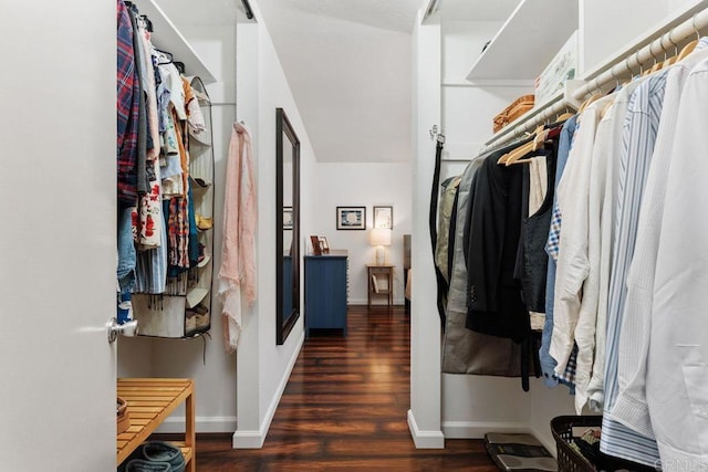 walk in closet with dark hardwood / wood-style floors