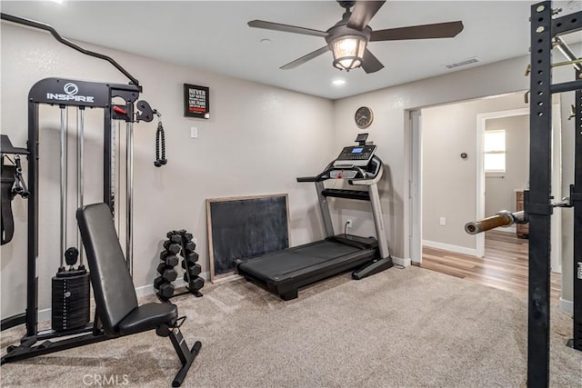 exercise area featuring ceiling fan and carpet