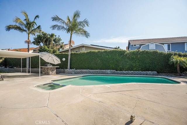 view of pool featuring a patio area