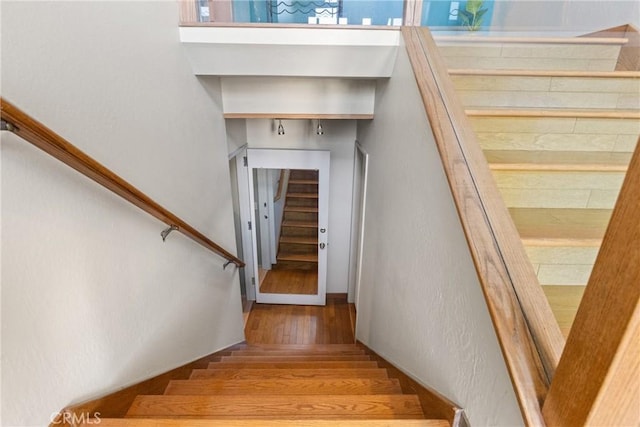 stairway with wood-type flooring