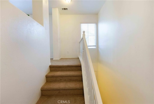 stairs featuring carpet floors