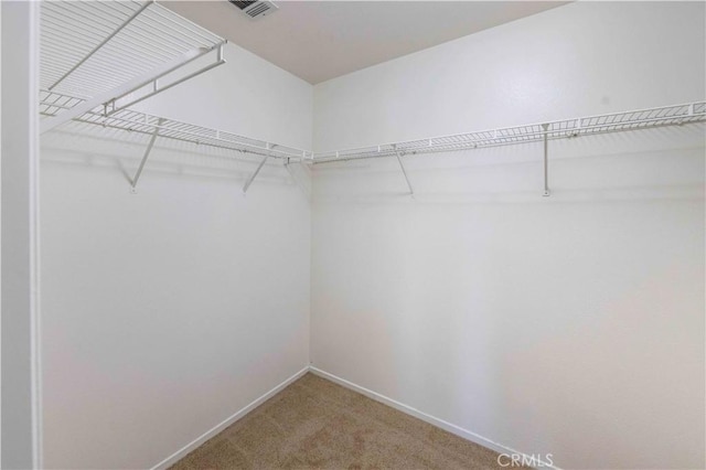 spacious closet featuring carpet