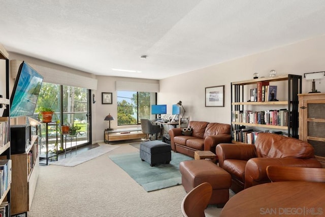 carpeted living room featuring a textured ceiling