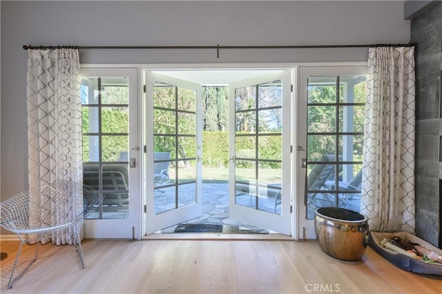 doorway with plenty of natural light and hardwood / wood-style floors