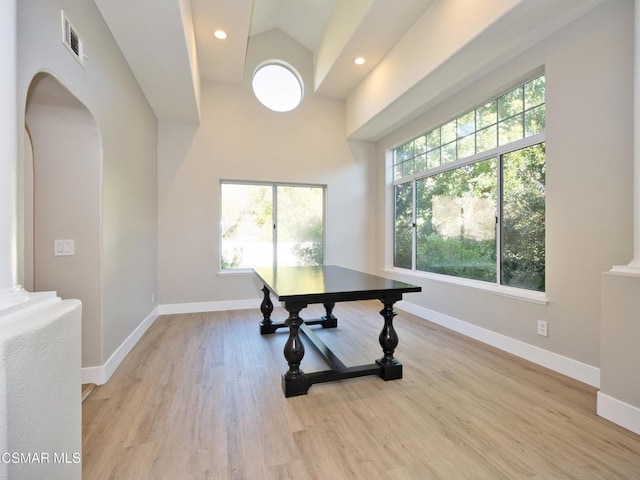 home office with ornate columns, vaulted ceiling, light wood-type flooring, and a wealth of natural light