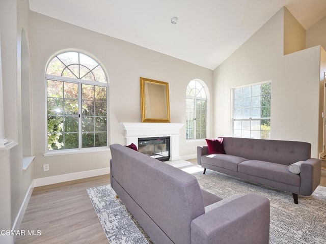 living room featuring high vaulted ceiling, a healthy amount of sunlight, and light hardwood / wood-style floors