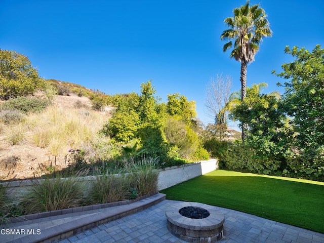 view of yard with a patio area and a fire pit