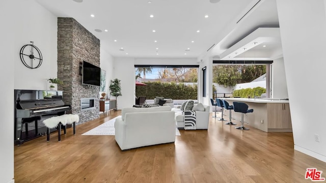 living room featuring a fireplace and light hardwood / wood-style flooring