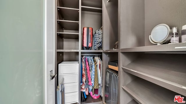 view of spacious closet