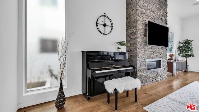 miscellaneous room with hardwood / wood-style flooring and a stone fireplace