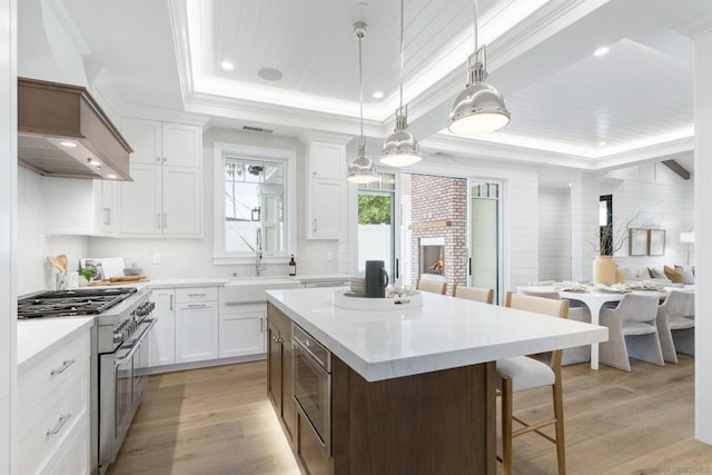 kitchen with high end stainless steel range oven, a center island, a tray ceiling, light hardwood / wood-style floors, and white cabinets