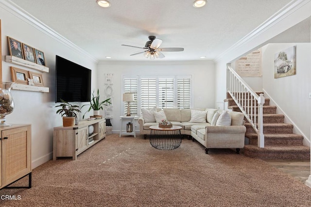 living room with ornamental molding, ceiling fan, and carpet flooring