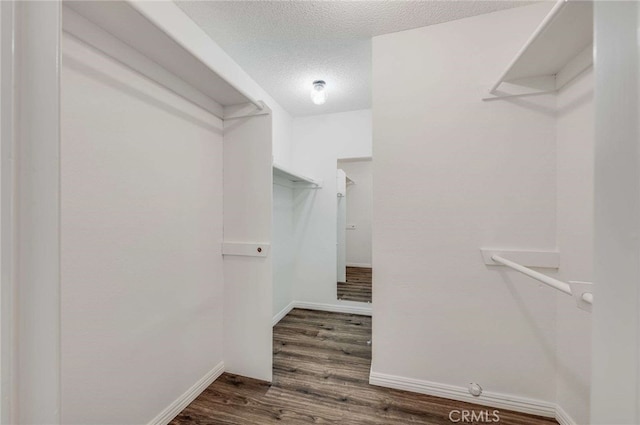 walk in closet with dark hardwood / wood-style flooring