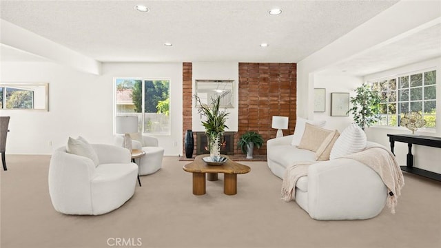 living room featuring carpet flooring