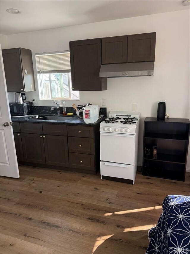 kitchen with dark hardwood / wood-style floors, sink, white gas stove, and dark brown cabinetry