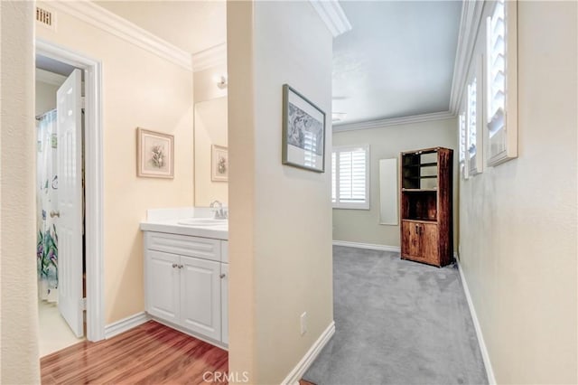 interior space with vanity and ornamental molding