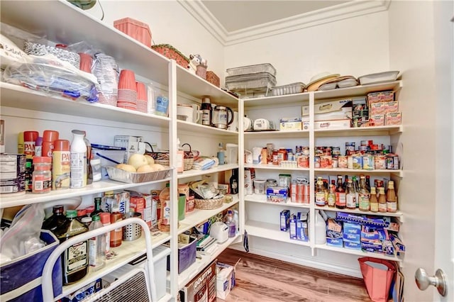 view of pantry