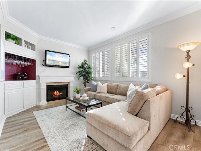 living room featuring ornamental molding and light hardwood / wood-style floors