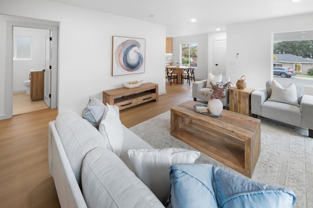 living room with light hardwood / wood-style floors