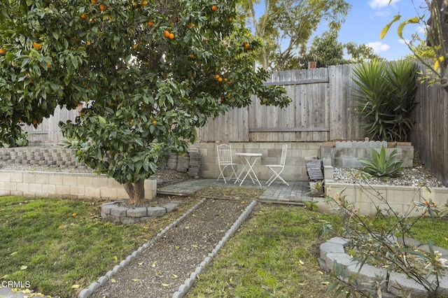 view of yard featuring a patio