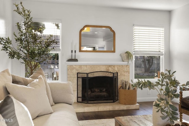 living room with hardwood / wood-style flooring and a fireplace