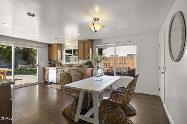 dining space featuring a healthy amount of sunlight, sink, and dark hardwood / wood-style floors