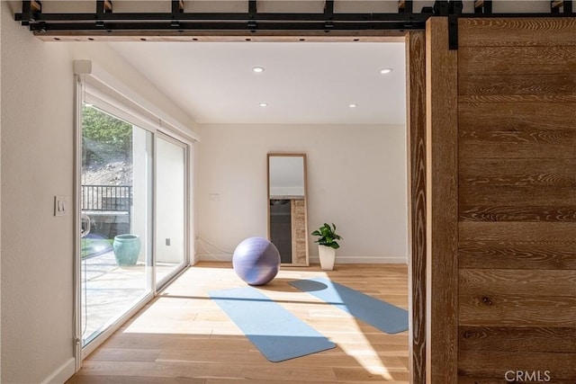 workout room with hardwood / wood-style floors