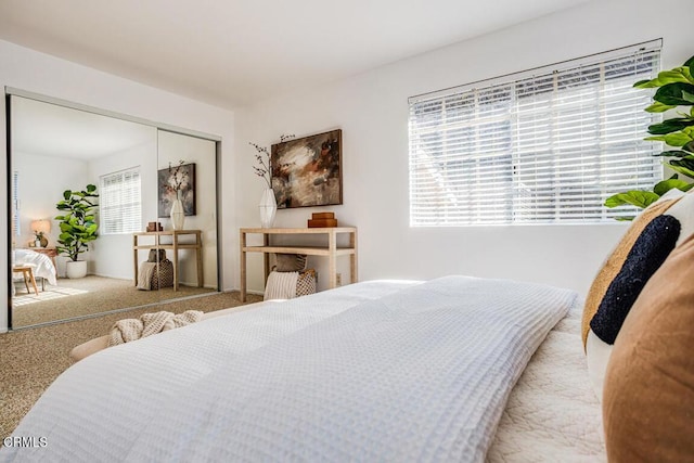 carpeted bedroom with multiple windows and a closet