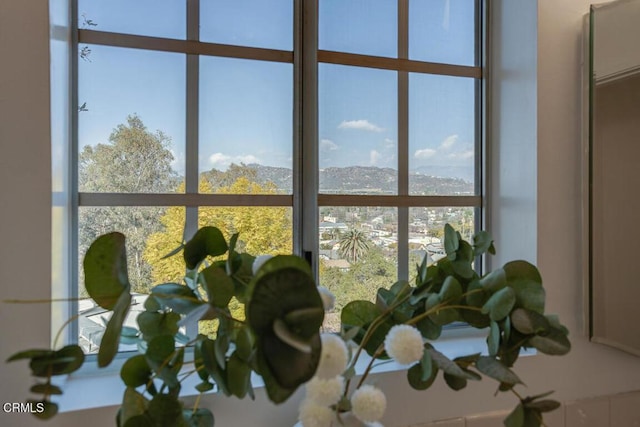 room details featuring a mountain view