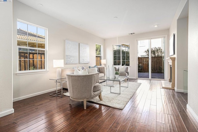 living room featuring dark wood-type flooring